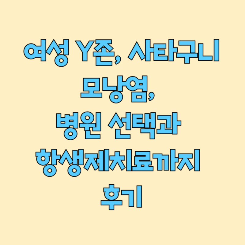 여성 Y존, 사타구니 모낭염, 병원 선택과 항생제치료까지 후기