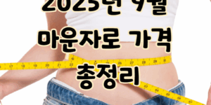2025년 9월 마운자로 가격 총정리